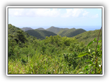 St.Martin026