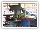 St.Martin029
