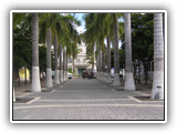St.Martin056