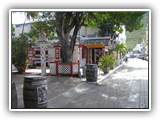 St.Martin065