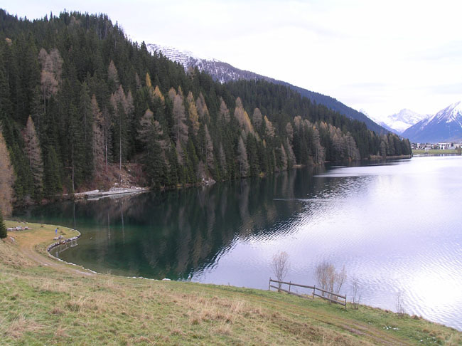 davos006