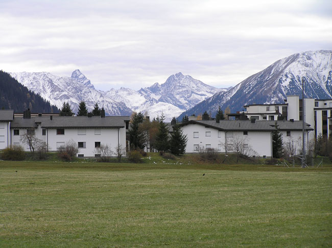 davos015