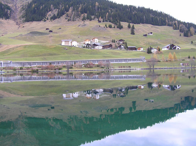 davos017
