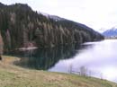 davos006