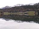 davos018