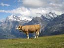 interlaken022