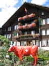 interlaken036