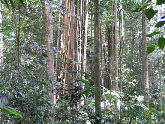 Malaysia183