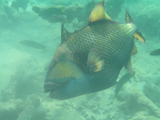 Malaysia214