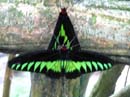 Malaysia116