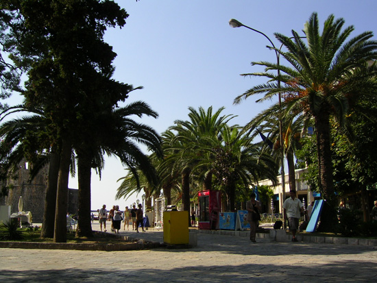 montenegro003