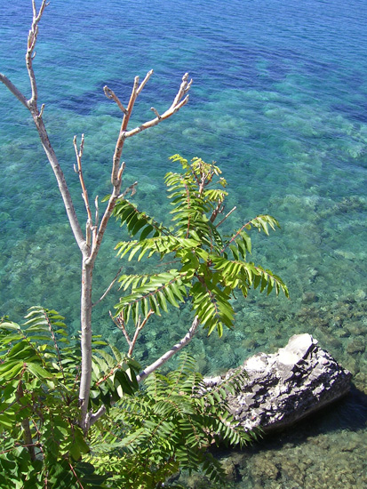 montenegro032