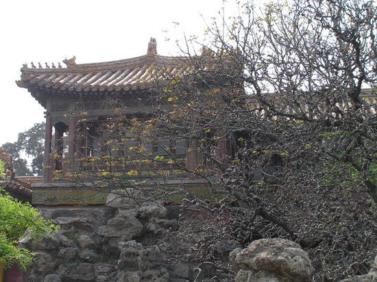 peking_038