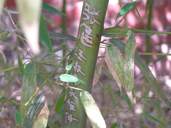 peking_093