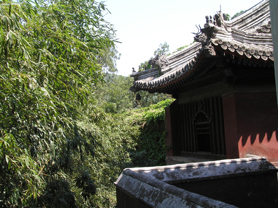 peking_174