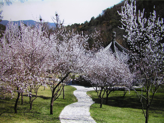 peking_175