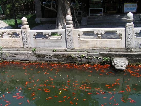 peking_178