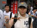 peking_049