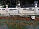 peking_178