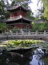 peking_204