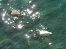 thun_gruyeres_laussane_neuchatel_soloturn084