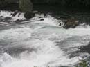 luzern_schaffhausen_bernP9140172