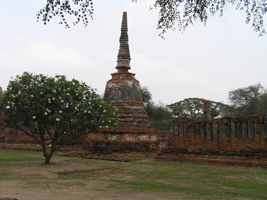 thailand155