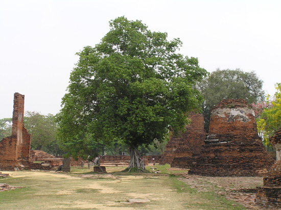 thailand166