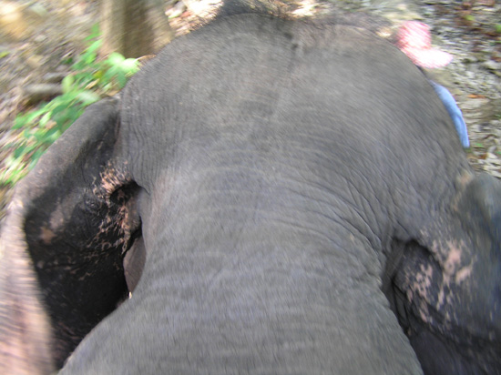 thailand194