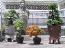 thailand119