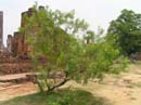 thailand165
