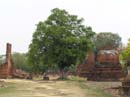 thailand166