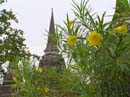 thailand167