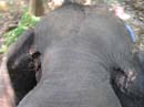 thailand194