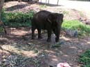 thailand195