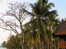 thailand197