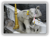 thaifold_szingapur_006
