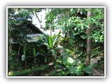 thaifold_szingapur_025