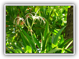thaifold_szingapur_036