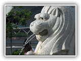 thaifold_szingapur_057