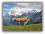2006 Interlaken