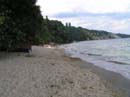Varna119