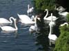 Zurich006